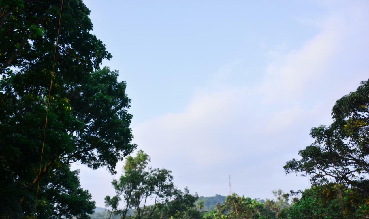 Ceylon Saradiel Home Stay Mawanella Экстерьер фото